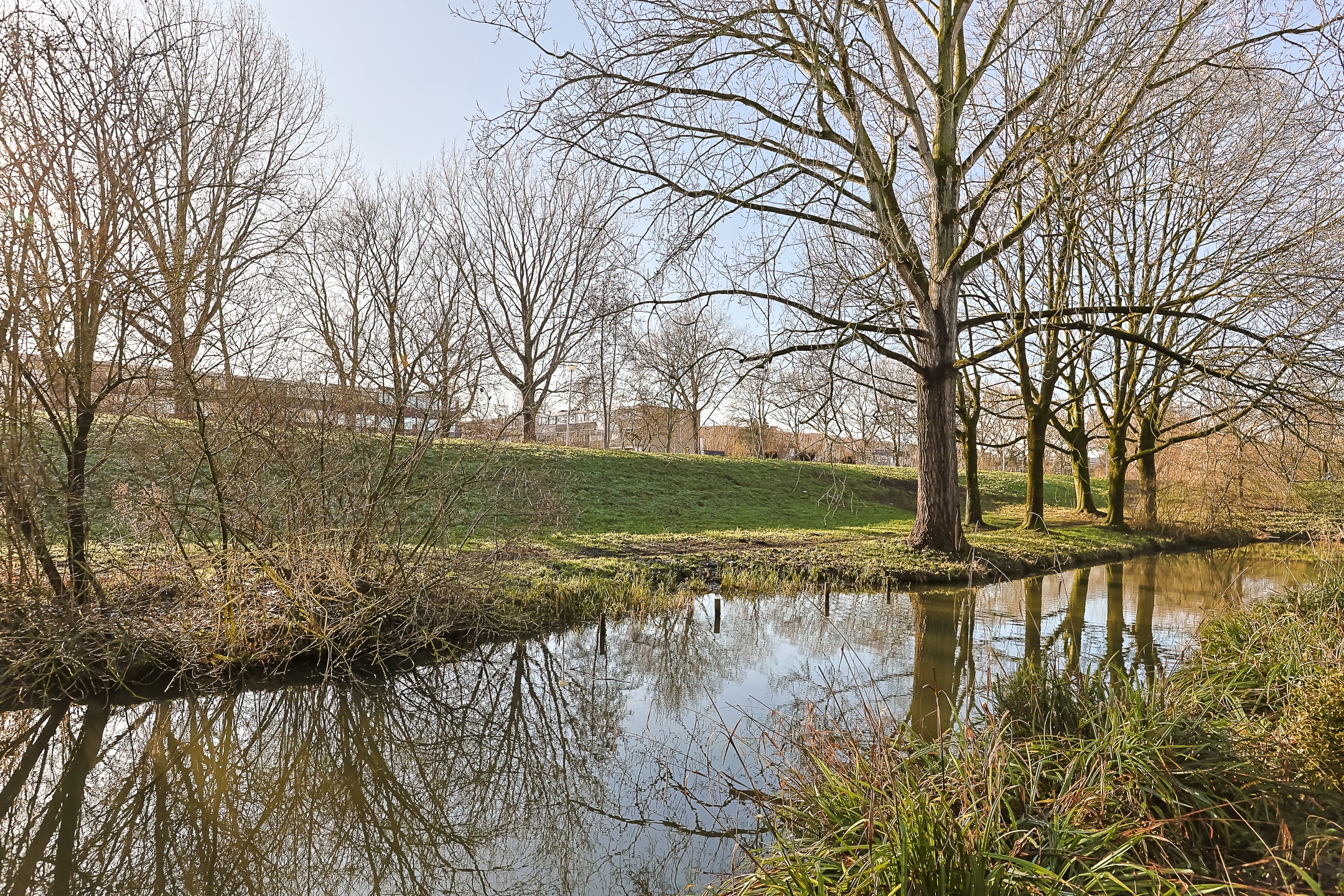 Eengezinswoning Tussenwoning Doornenburg 86, Alphen aan den Rijn