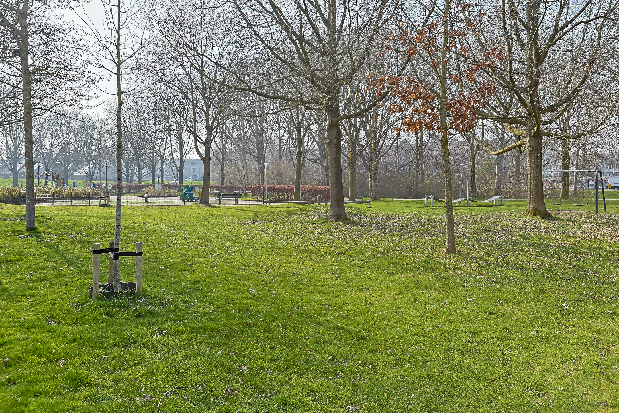 Portiekflat  Schelfhorst 9, Alphen aan den Rijn