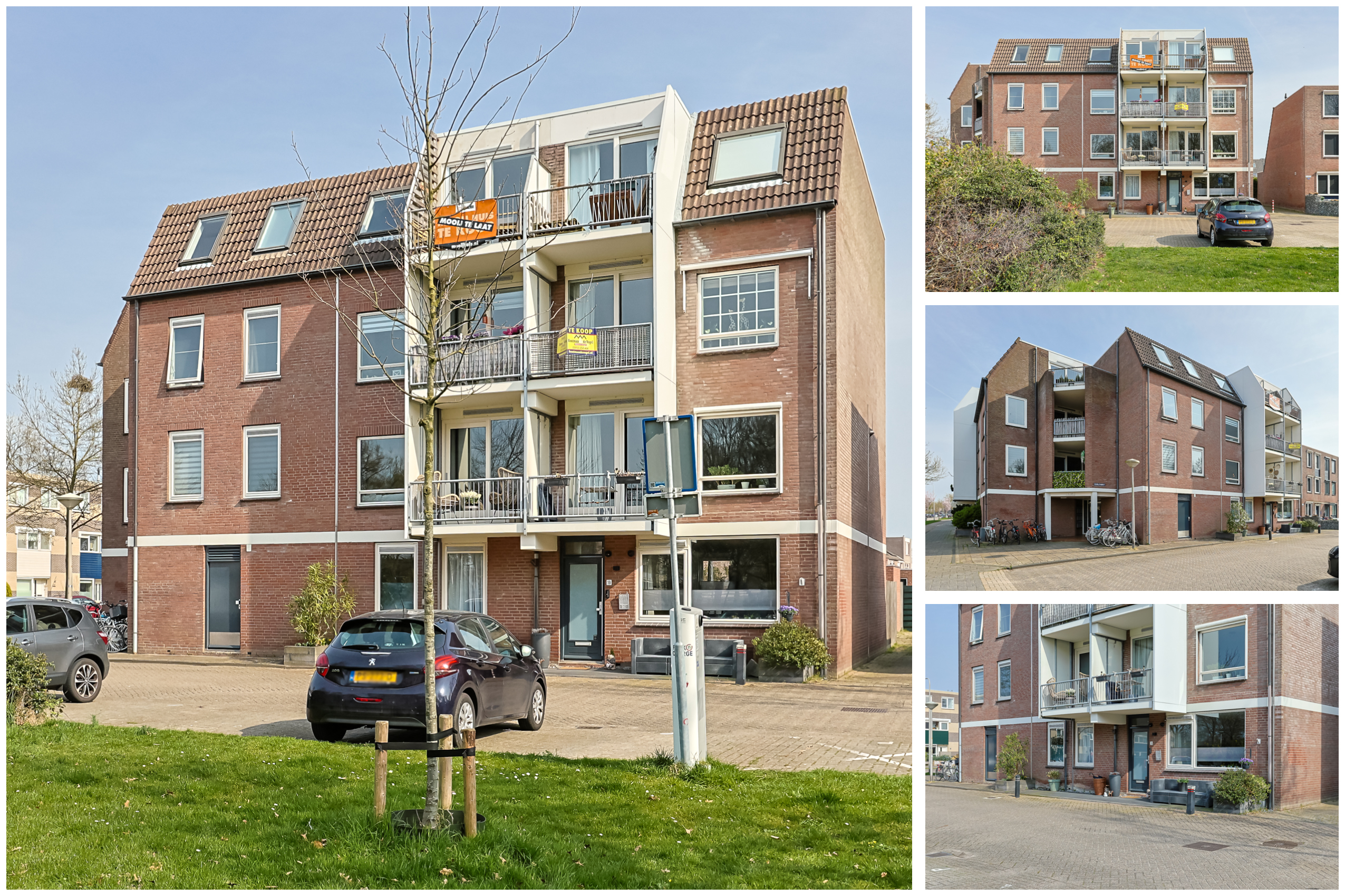Portiekflat Serviceflat Schelfhorst 5, Alphen aan den Rijn