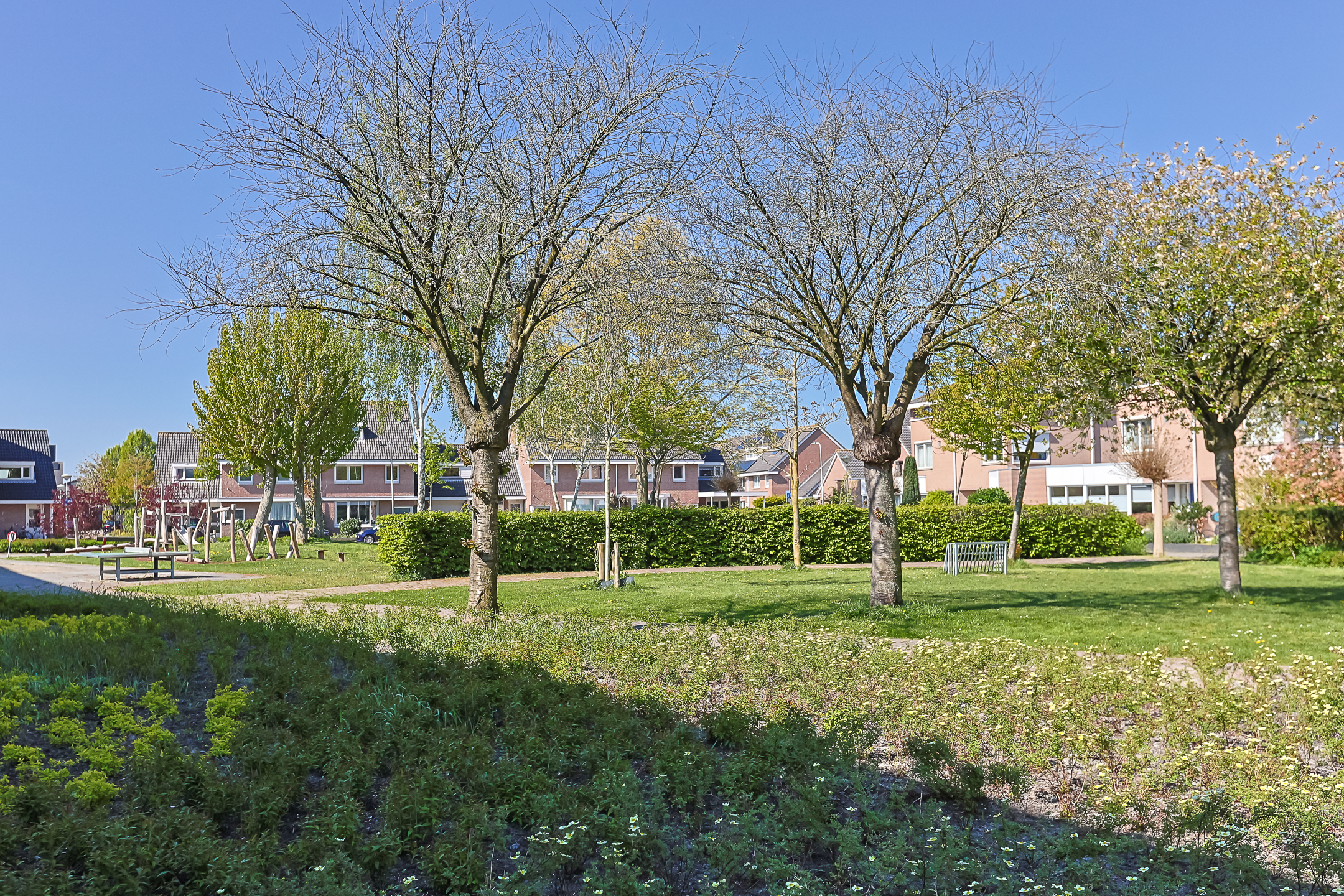 Portiekflat Appartement Venezuelastraat 36, Alphen aan den Rijn