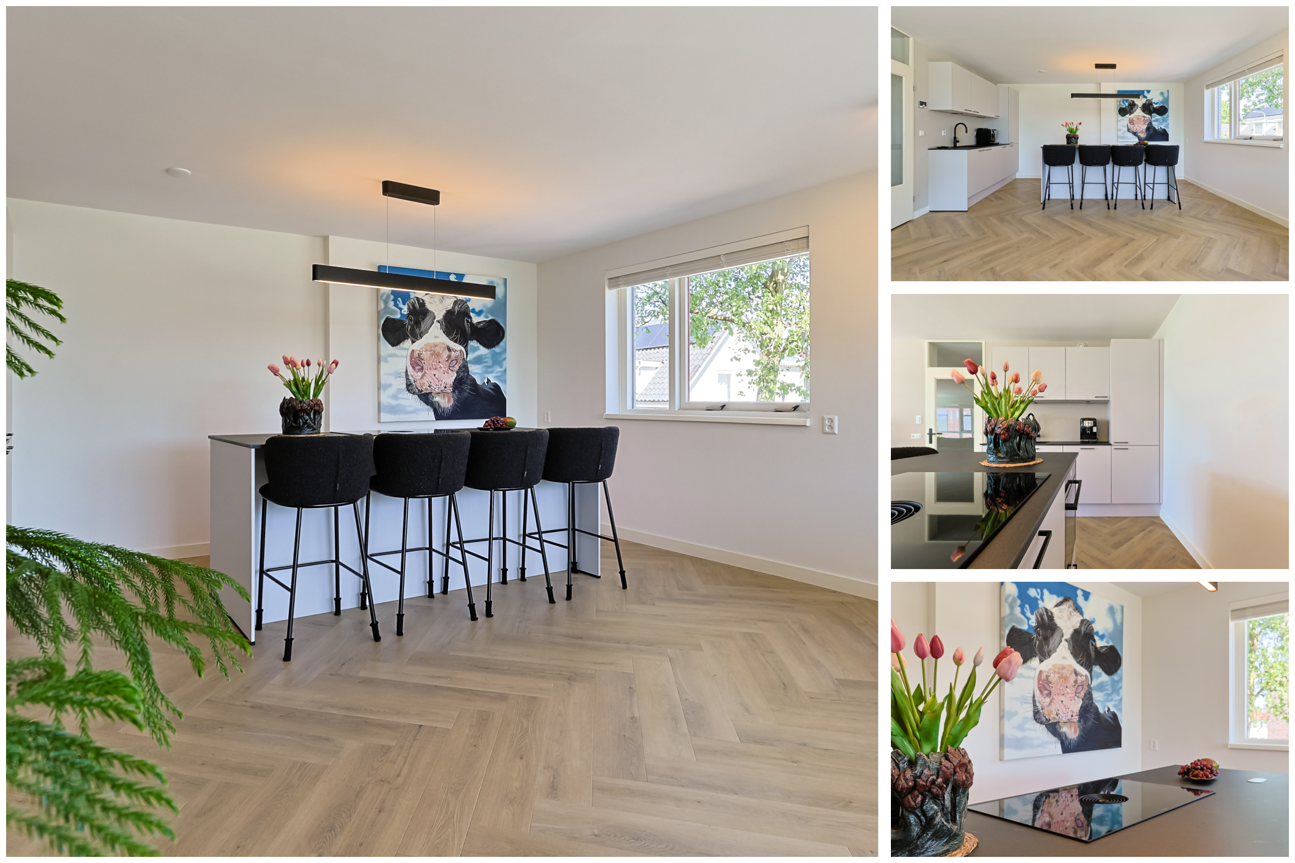 Portiekflat Appartement Gravenstraat 93, Alphen aan den Rijn