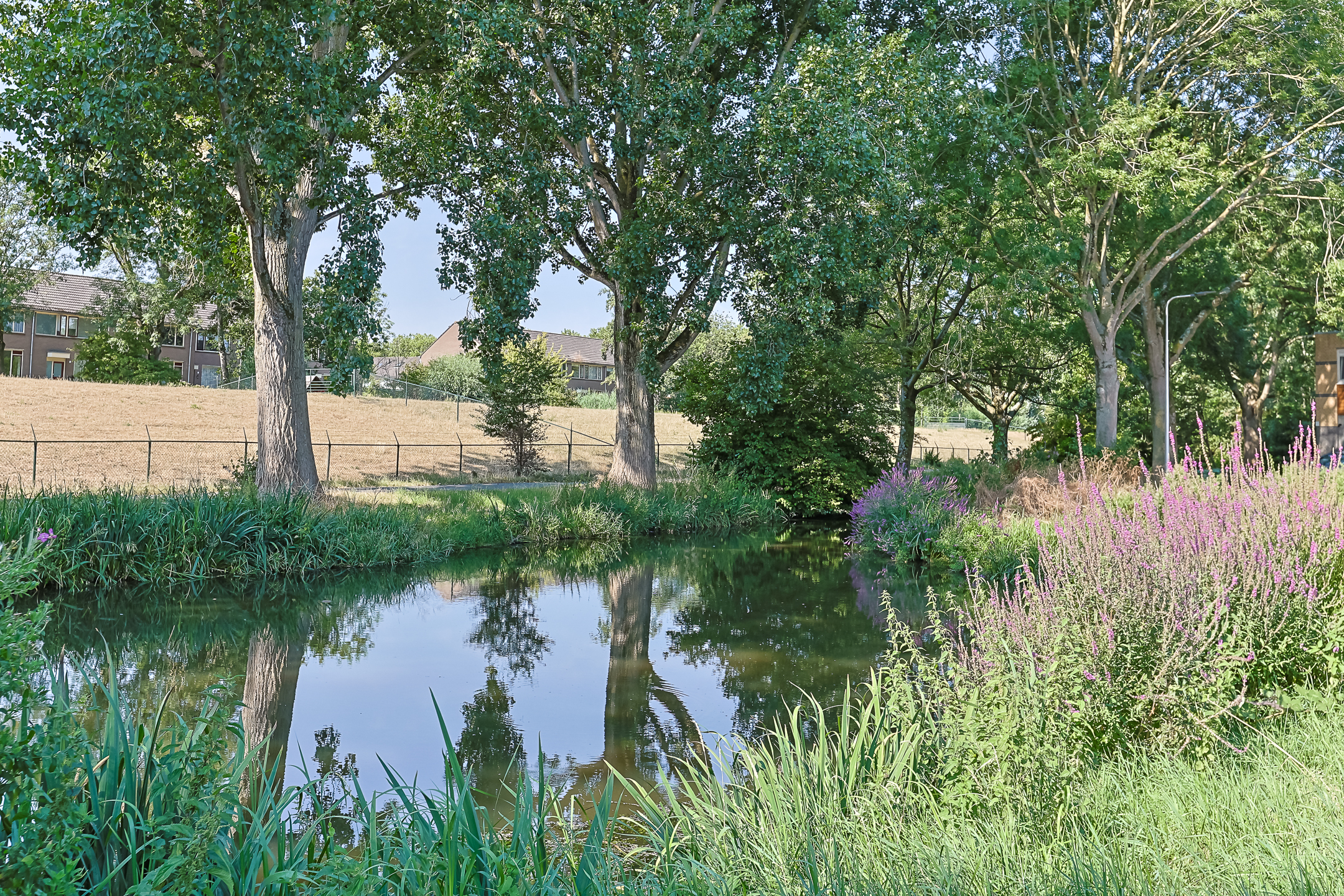 Eengezinswoning Tussenwoning Leeuwenburg 73, Alphen aan den Rijn