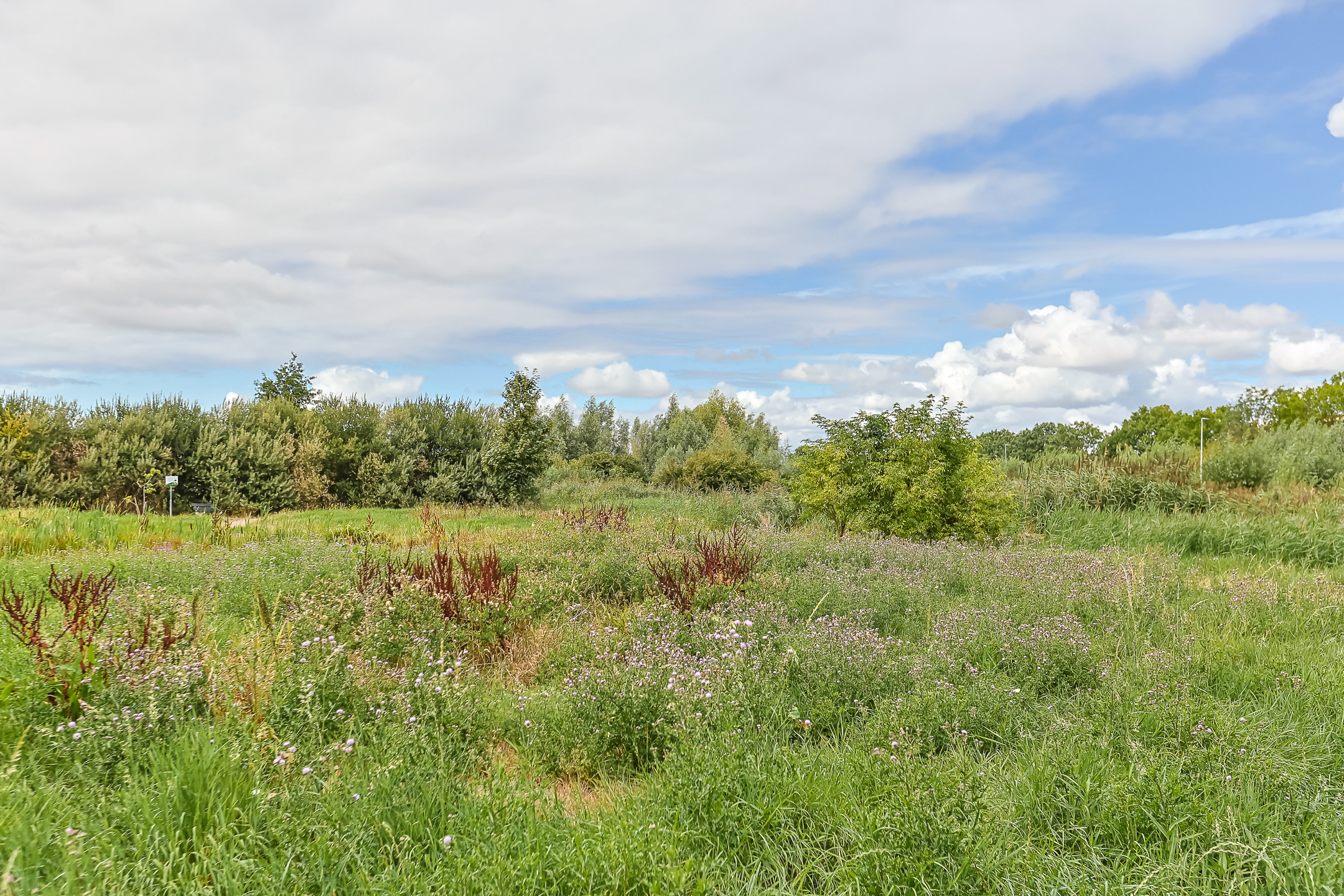 Portiekflat Corridorflat Polderpeil 18, Alphen aan den Rijn